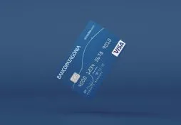 tarjeta patagonia visa auto