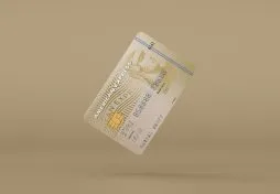 the gold credit card american express